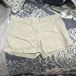 Women’s Shorts Brand :Cambridge Dry Goods